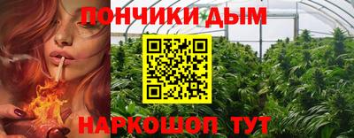 МДПВ Будённовск
