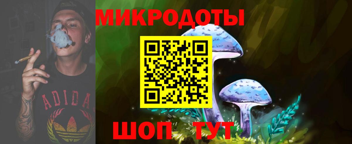 Галлюциногенные грибы мухоморы Армавир